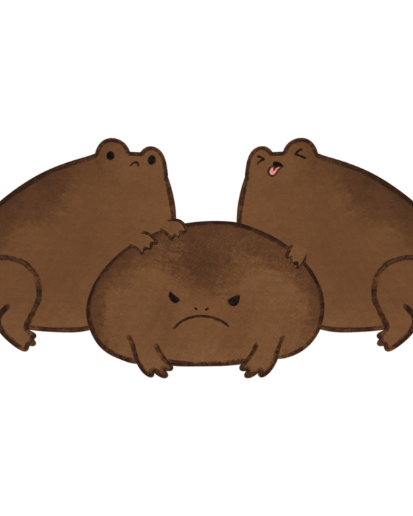 Funny Rain Frog Vinyl Sticker