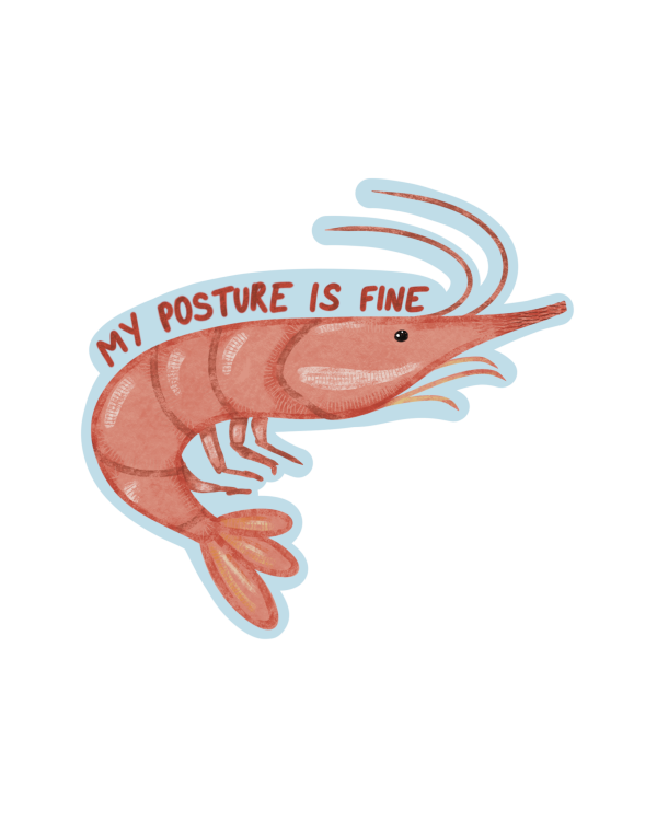 Funny Shrimp Vinyl Sticker